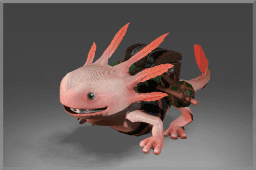 Inscribed Axolotl