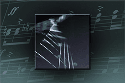 Matt Lange Abstraction Music Pack